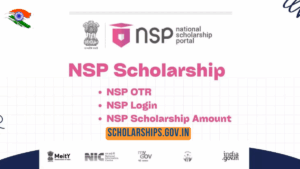 NSP Scholarship 2025
